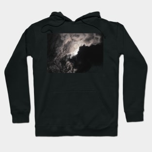 Full Beaver Moon Hoodie